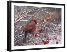 Cardinal and Berries-Kevin Dodds-Framed Giclee Print