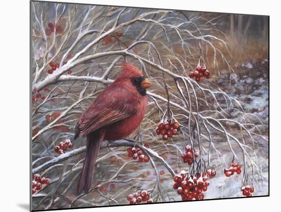 Cardinal and Berries-Kevin Dodds-Mounted Giclee Print