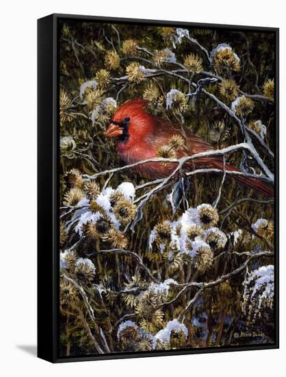 Cardinal and Thistles-Kevin Dodds-Framed Stretched Canvas