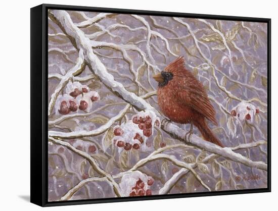 Cardinal and Wild Berries-Kevin Dodds-Framed Stretched Canvas