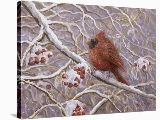 Cardinal and Wild Berries-Kevin Dodds-Stretched Canvas
