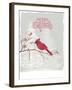 Cardinal Candy Cane-PI Studio-Framed Art Print