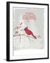 Cardinal Candy Cane-PI Studio-Framed Art Print