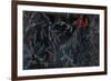 Cardinal Chalkboard-Danhui Nai-Framed Art Print