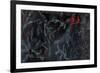 Cardinal Chalkboard-Danhui Nai-Framed Art Print