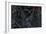 Cardinal Chalkboard-Danhui Nai-Framed Premium Giclee Print