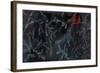 Cardinal Chalkboard-Danhui Nai-Framed Art Print