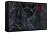 Cardinal Chalkboard-Danhui Nai-Framed Stretched Canvas