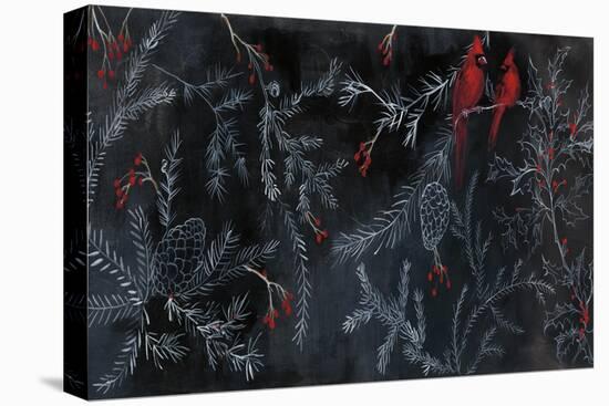 Cardinal Chalkboard-Danhui Nai-Stretched Canvas