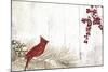 Cardinal Christmas V-Color Bakery-Mounted Giclee Print