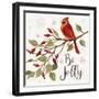 Cardinal Christmas VII-Silvia Vassileva-Framed Photographic Print