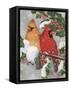 Cardinal Couple with Holly-William Vanderdasson-Framed Stretched Canvas