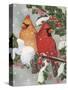 Cardinal Couple with Holly-William Vanderdasson-Stretched Canvas