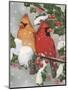 Cardinal Couple with Holly-William Vanderdasson-Mounted Giclee Print