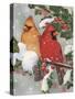 Cardinal Couple with Holly-William Vanderdasson-Stretched Canvas