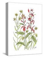 Cardinal Flower-Beverly Dyer-Stretched Canvas