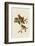 Cardinal Grosbeak-John James Audubon-Framed Art Print