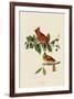 Cardinal Grosbeak-John James Audubon-Framed Art Print