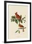 Cardinal Grosbeak-John James Audubon-Framed Art Print