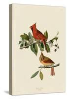 Cardinal Grosbeak-John James Audubon-Stretched Canvas