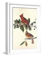 Cardinal Grosbeak-John James Audubon-Framed Art Print