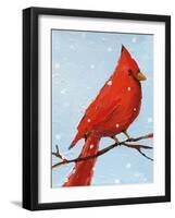 Cardinal I-Phyllis Adams-Framed Art Print