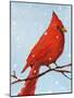 Cardinal I-Phyllis Adams-Mounted Art Print