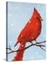 Cardinal I-Phyllis Adams-Stretched Canvas