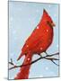 Cardinal I-Phyllis Adams-Mounted Art Print