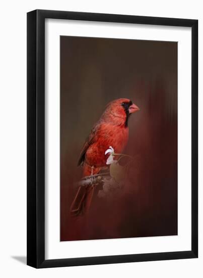 Cardinal in Antique Red-Jai Johnson-Framed Giclee Print