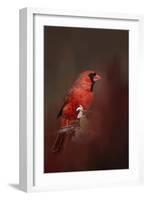 Cardinal in Antique Red-Jai Johnson-Framed Giclee Print