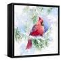 Cardinal in Snowy Tree-Lanie Loreth-Framed Stretched Canvas