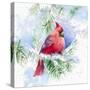 Cardinal in Snowy Tree-Lanie Loreth-Stretched Canvas