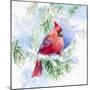 Cardinal in Snowy Tree-Lanie Loreth-Mounted Art Print