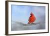 Cardinal in the Snow-Jai Johnson-Framed Giclee Print