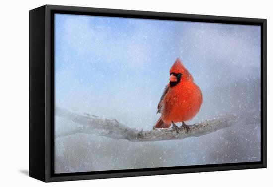 Cardinal in the Snow-Jai Johnson-Framed Stretched Canvas