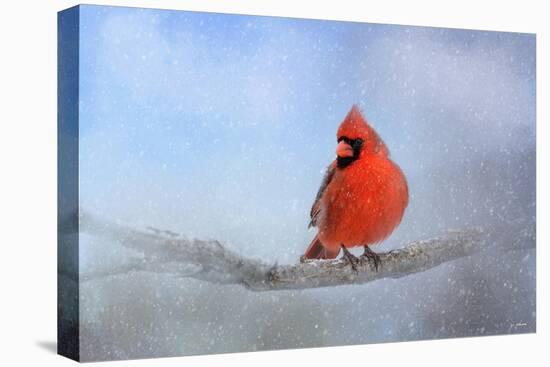 Cardinal in the Snow-Jai Johnson-Stretched Canvas