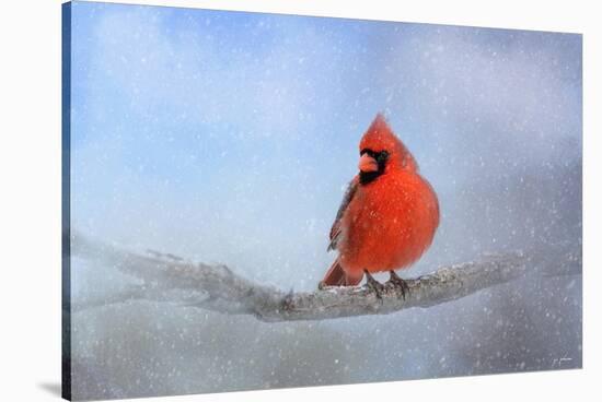 Cardinal in the Snow-Jai Johnson-Stretched Canvas