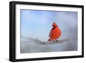 Cardinal in the Snow-Jai Johnson-Framed Giclee Print