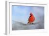 Cardinal in the Snow-Jai Johnson-Framed Giclee Print