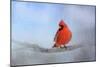 Cardinal in the Snow-Jai Johnson-Mounted Giclee Print