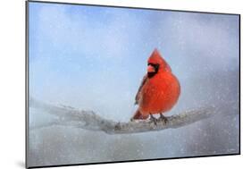 Cardinal in the Snow-Jai Johnson-Mounted Giclee Print