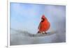 Cardinal in the Snow-Jai Johnson-Framed Giclee Print