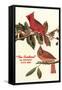 Cardinal, Kentucky's State Bird-null-Framed Stretched Canvas