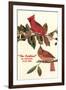 Cardinal, Kentucky's State Bird-null-Framed Art Print