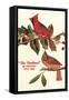 Cardinal, Kentucky's State Bird-null-Framed Stretched Canvas