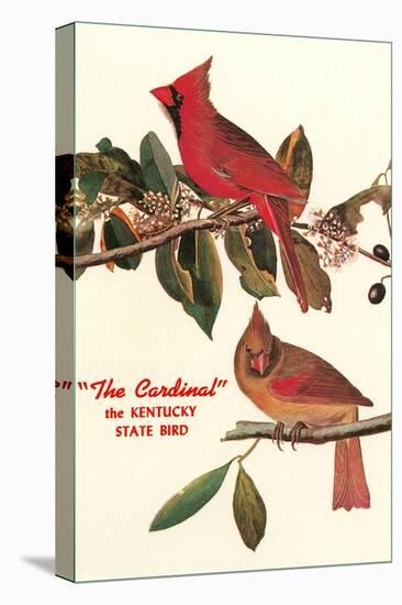 Cardinal, Kentucky's State Bird-null-Stretched Canvas