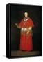 Cardinal Luis Maria De Bourbon Y Vallabriga, after 1800-Francisco de Goya-Framed Stretched Canvas