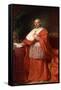 Cardinal Muzzio Gallo , 1785-Anton von Maron-Framed Stretched Canvas