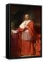 Cardinal Muzzio Gallo , 1785-Anton von Maron-Framed Stretched Canvas